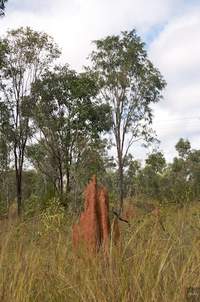 AustraliaAdelaide 10  070